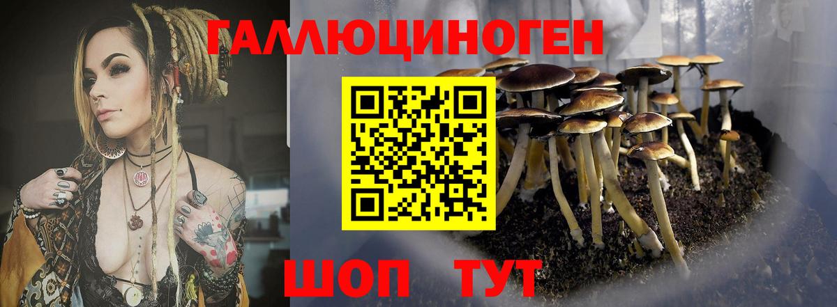 Псилоцибиновые грибы ЛСД Асино