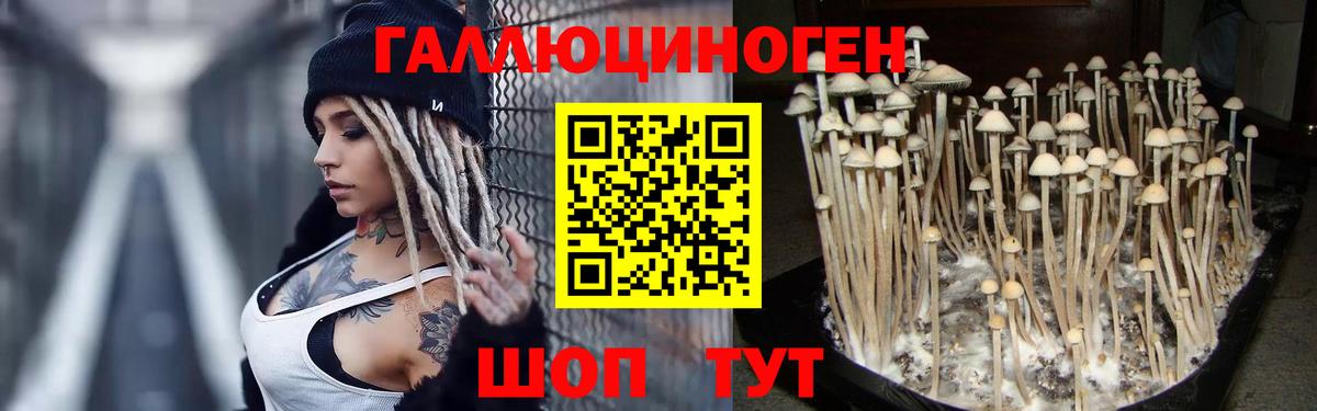 Асино  Галлюциногенные грибы MAGIC MUSHROOMS  Галлюциногенные грибы мухоморы  Вход с VPN 